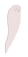 ghost A