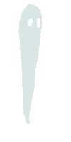 ghost C